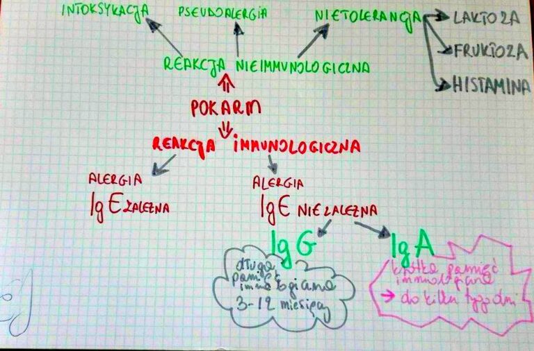 W organizmie przeciwciał